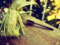 Corn ear, wooden spoon on table, food background Royalty Free Stock Photo
