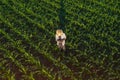 Corn farmer with drone remote controller in field