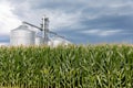 Cornfield in summer with grain storage elevator in background and storm clouds in sky.