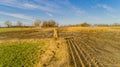 Corn field is affected by the drought dryness in winter Royalty Free Stock Photo