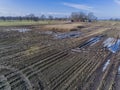 Corn field is affected by the drought dryness in winter Royalty Free Stock Photo