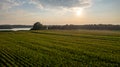 Corn field agriculture under a sunset sky. Green nature. Rural farm land in summer. Plant growth. Farming scene. Outdoor Royalty Free Stock Photo