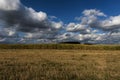 Corn field in autumn under running clouds