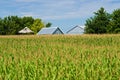 Corn field, and barns