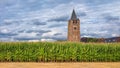 Corn field with a church tower on the background against a blue sky with clouds, Flanders, Belgium Royalty Free Stock Photo