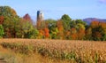 Corn field farm in fall season Royalty Free Stock Photo