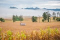 Corn field Royalty Free Stock Photo