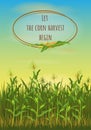 Corn field. Corn harvest time. Vector poster with title in frame. Royalty Free Stock Photo