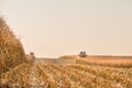 Corn field harvesting