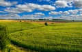 Corn field lines and beautiful landscapes