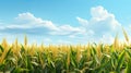 corn field with corn plants basking in the warm sunlight on a beautiful, sunny day.