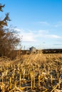 Corn Field Recently Harvested In Iowa