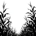 Corn field silhouette in black and white, isolated against a white background. Royalty Free Stock Photo