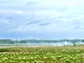 A corn field with smoke from burning the remaining corn husks from the harvest Royalty Free Stock Photo