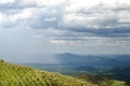 Corn field on top mountain with raining