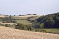 Corn Fields