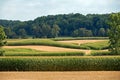 Corn Fields