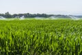 Corn fields in cycling path of Llagostera being watered Royalty Free Stock Photo