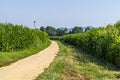 Corn fields in cycling path of Llagostera being watered Royalty Free Stock Photo