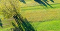 Corn fields before harvest - Autumnal view Royalty Free Stock Photo