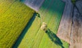 Corn fields before harvest - Autumnal view Royalty Free Stock Photo