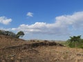 corn fields that have not been replanted Royalty Free Stock Photo