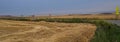 Corn Fields in Leiva near of Logrono. La Rioja, Spain Royalty Free Stock Photo