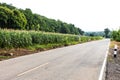 Corn fields with road signs. Royalty Free Stock Photo