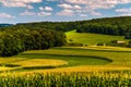 Corn fields and rolling hills in rural York County, Pennsylvania Royalty Free Stock Photo