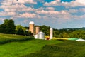 Corn fields and silos on a farm in Southern York County, Pennsylvania. Royalty Free Stock Photo