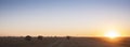 Corn fields with straw bales in the north of france Royalty Free Stock Photo