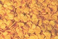 Corn-flakes background and texture. Top view. cornflake cereal box for morning breakfast Royalty Free Stock Photo