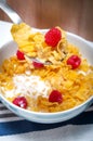 Corn flakes for breakfast Royalty Free Stock Photo