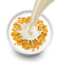 Corn flakes with pouring milk isolated on white background, top view Royalty Free Stock Photo