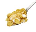 Corn flakes cereals muesli food Royalty Free Stock Photo