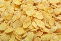 Corn flakes close up Royalty Free Stock Photo