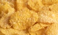 corn flakes close-up Royalty Free Stock Photo