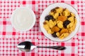 Corn flakes with dried fruits, sour cream and spoon Royalty Free Stock Photo