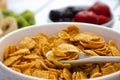 Corn flakes with fresh banana and kiwi, as well as fresh strawberries, blueberries. Royalty Free Stock Photo