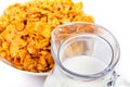 Corn flakes and jug of milk Royalty Free Stock Photo