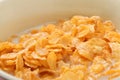 corn flakes meal healthy fresh cereal in a bowl Royalty Free Stock Photo