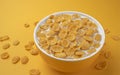 Corn flakes with milk, bowl of cereal breakfast Royalty Free Stock Photo