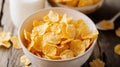 Corn flakes with milk Royalty Free Stock Photo