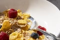 corn flakes with milk and raspberries in white bowl. Selective focus Royalty Free Stock Photo