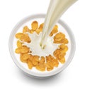 Corn flakes with pouring milk isolated on white background, top view Royalty Free Stock Photo