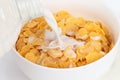 Corn flakes Royalty Free Stock Photo