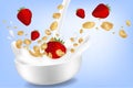 Corn flakes with strawberries in big milk splash advertising flyer vector illustration. High quality art for cereal Royalty Free Stock Photo