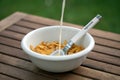 Corn flakes in white bowl spoon inside adding milk Royalty Free Stock Photo