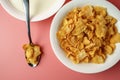 Corn flakes and yogurt in white bowl