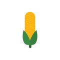 corn flat design vector illustration isolated on white background. organic logo vector organic agriculture corning field corncob Royalty Free Stock Photo